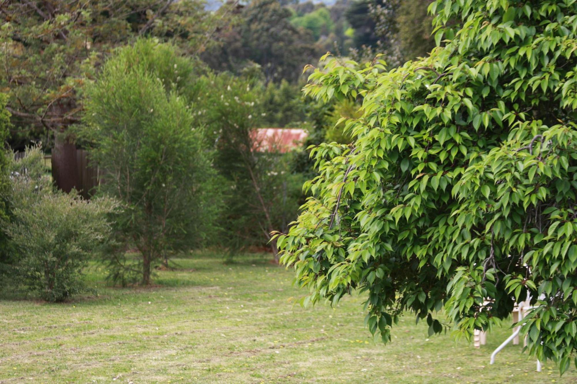 Opal Motel Leongatha Εξωτερικό φωτογραφία